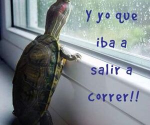sergio