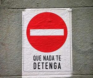 Alepeluca 23