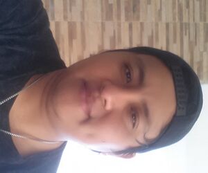 helvercinho