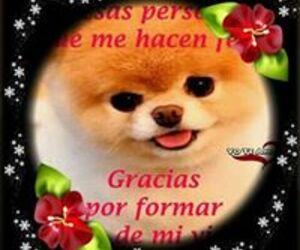 Ricarluisraul 
