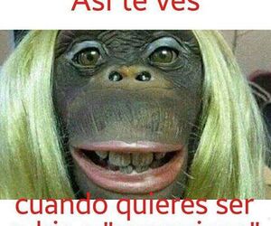 WolfSS